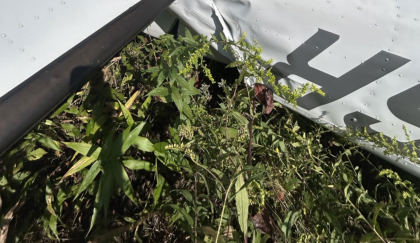 Photograph 3 – damaged tail section, from the NTSB investigation of Cessna 182 accident near Blue Ridge, Georgia, September 20, 2025