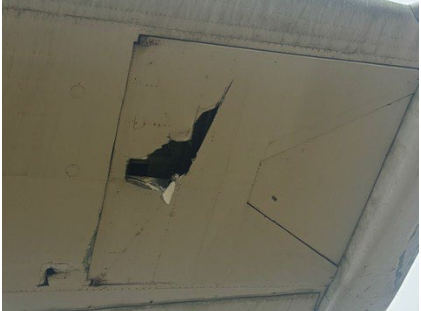 Photograph 4 – Left wing lower skin damage, from the NTSB investigation of Consolidated Vultee 28-5ACF accident near Dayton, Tennessee, October 31, 2025