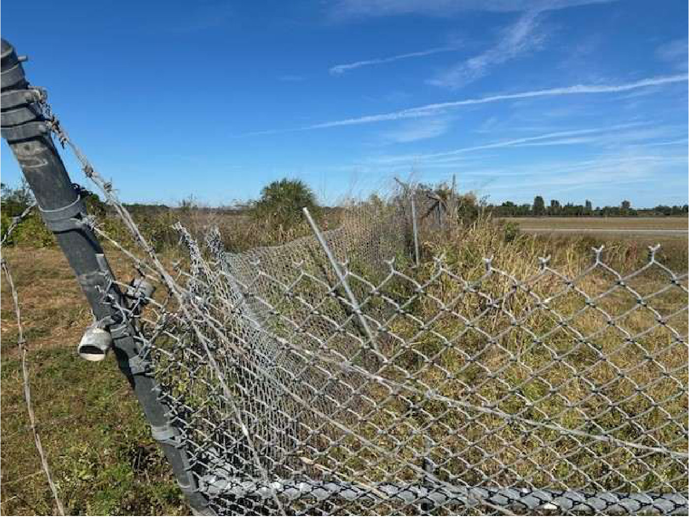 Photograph <built-in method index of str object at 0x7fdee1e1a240>, from the NTSB investigation of Cub Crafters Carbon Cub FX2 accident near Okeechobee, Florida, November 28, 2025