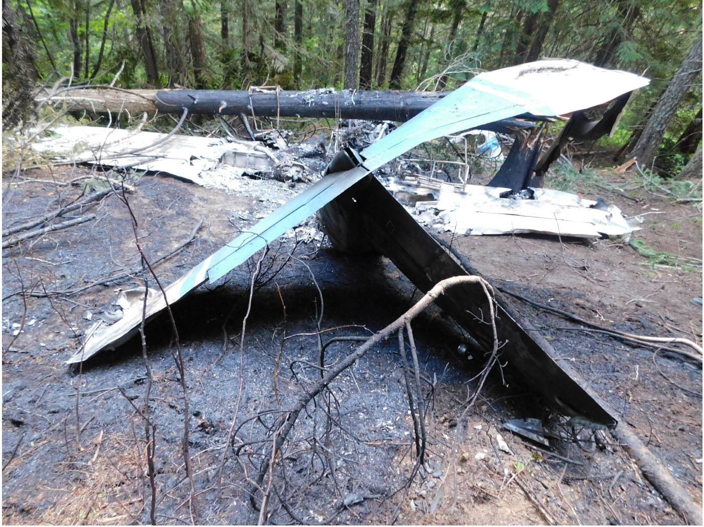 Photograph <built-in method index of str object at 0x7fdef9126420>, from the NTSB investigation of Cessna 177B accident near Elk River, Idaho, June 12, 2024