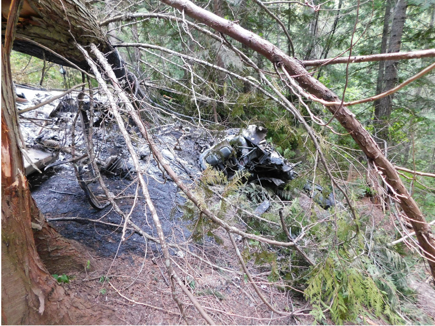 Photograph <built-in method index of str object at 0x7fdee1e396b0>, from the NTSB investigation of Cessna 177B accident near Elk River, Idaho, June 12, 2024