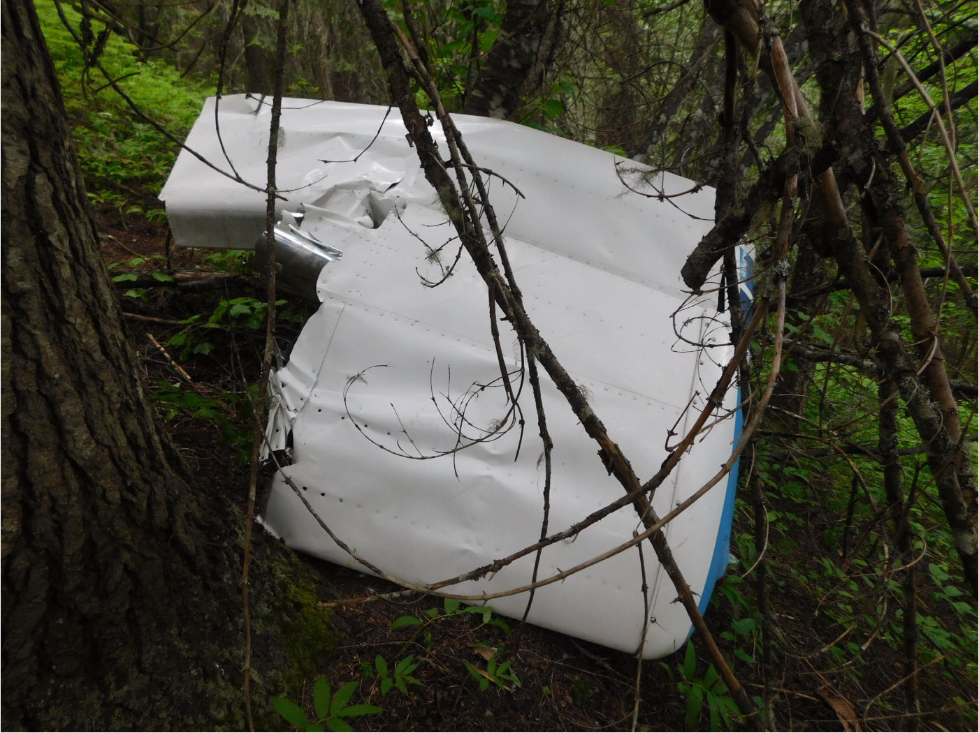 Photograph <built-in method index of str object at 0x7fdee1e425b0>, from the NTSB investigation of Cessna 177B accident near Elk River, Idaho, June 12, 2024