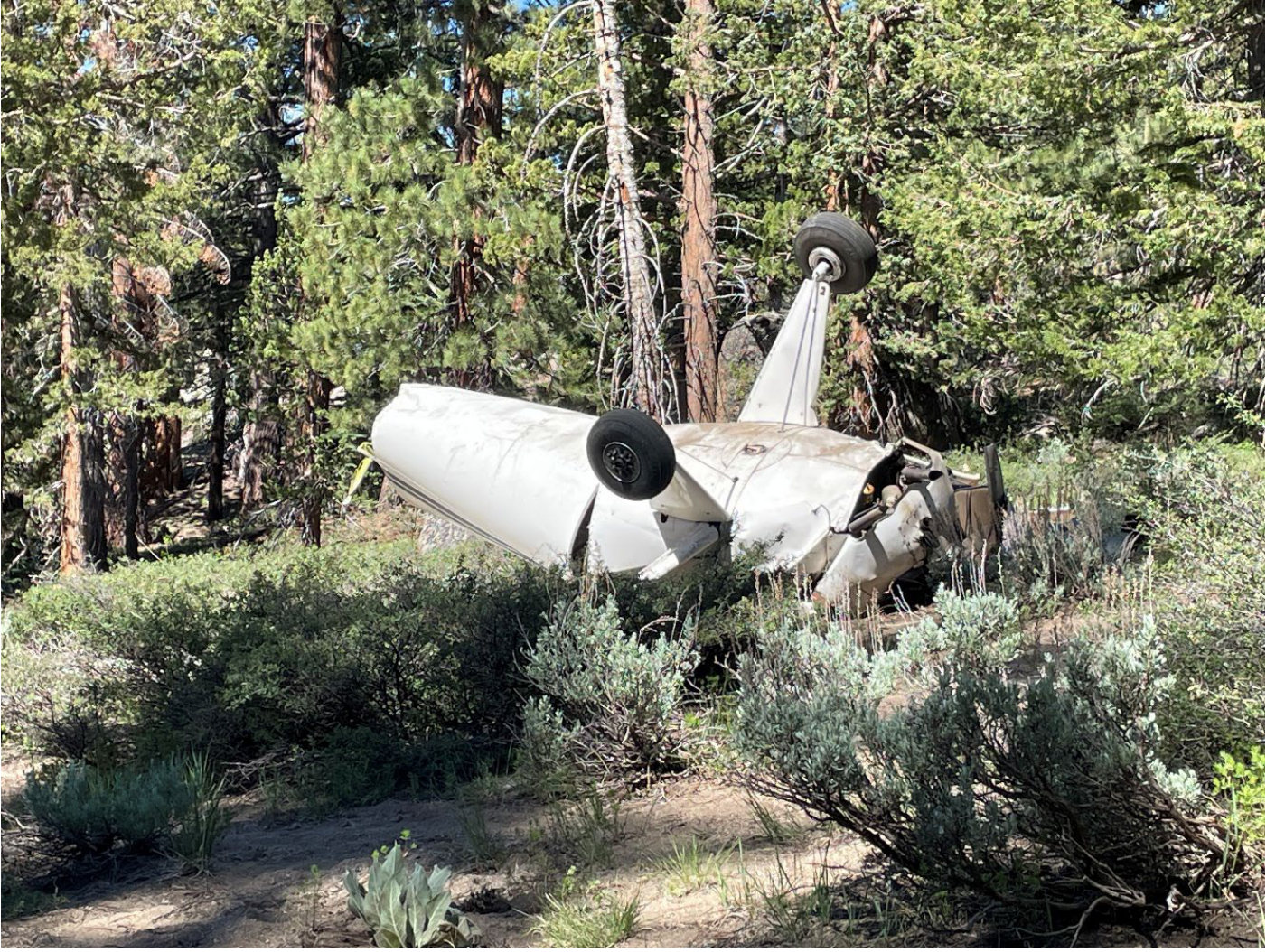 Photograph <built-in method index of str object at 0x7fdee1eb9070>, from the NTSB investigation of Luscombe 8A accident near South Lake Tahoe, California, June 12, 2024
