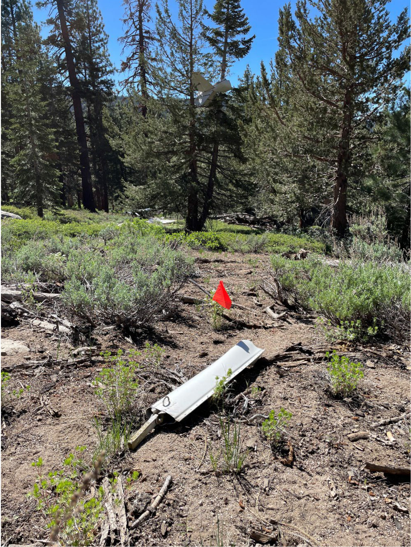 Photograph <built-in method index of str object at 0x7fdee1e71c00>, from the NTSB investigation of Luscombe 8A accident near South Lake Tahoe, California, June 12, 2024