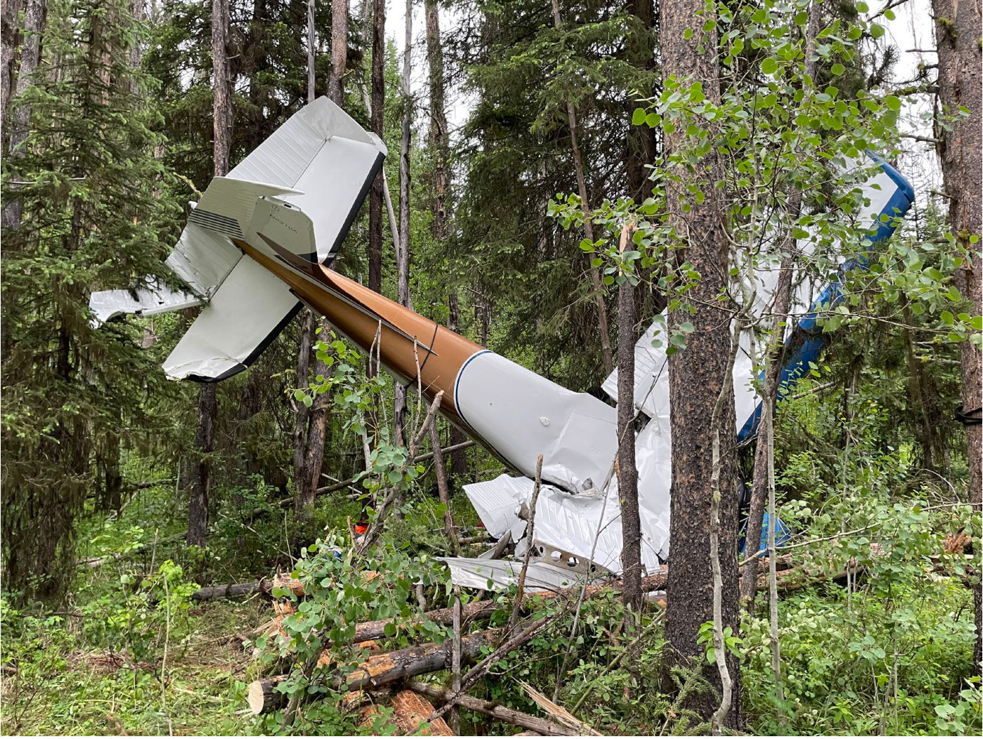 Photograph <built-in method index of str object at 0x7fdee1e43a00>, from the NTSB investigation of Cessna 182 accident near Big Creek, Idaho, June 28, 2024