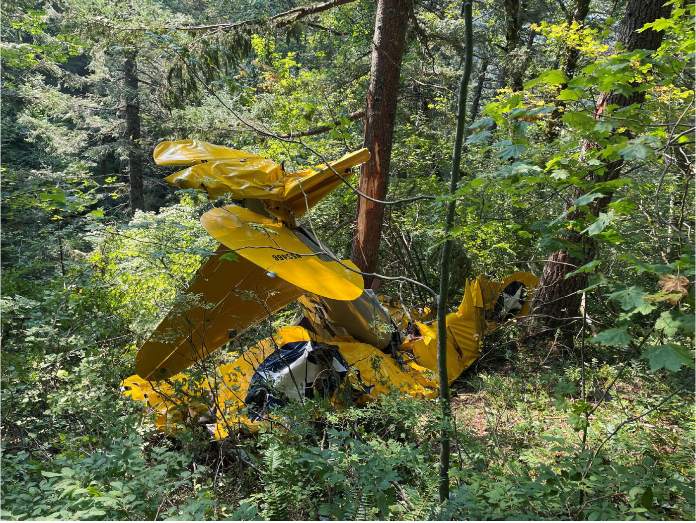 Photograph <built-in method index of str object at 0x7fdee1e54760>, from the NTSB investigation of Boeing A75L3 accident near Yacolt, Washington, September 6, 2024