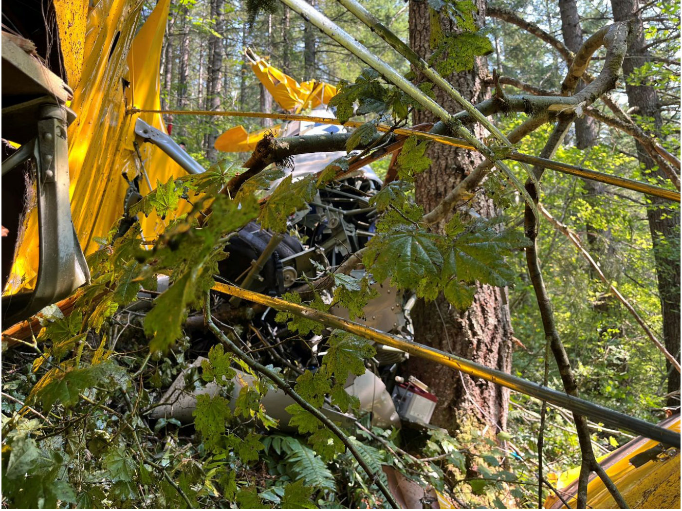 Photograph <built-in method index of str object at 0x7fdee1e70d00>, from the NTSB investigation of Boeing A75L3 accident near Yacolt, Washington, September 6, 2024