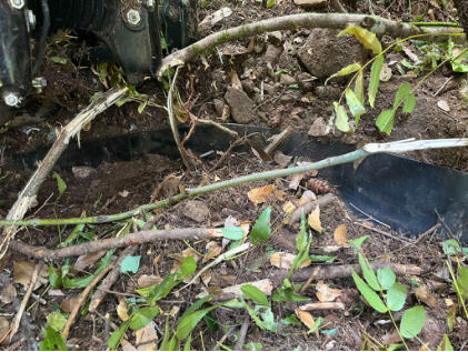 Photograph 4 – Propeller blade partially dug out at accident site., from the NTSB investigation of Boeing A75L3 accident near Yacolt, Washington, September 6, 2024