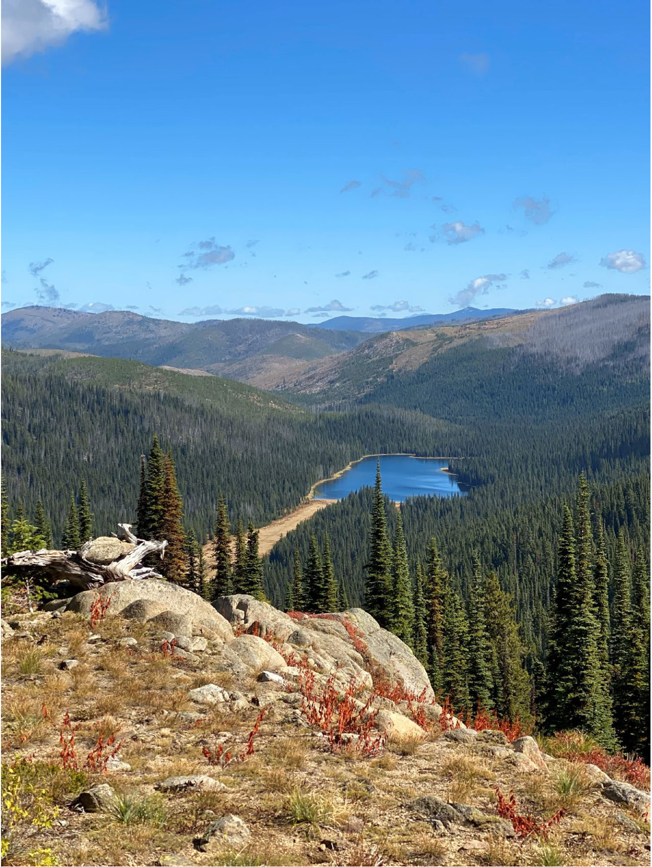 Photograph <built-in method index of str object at 0x7fdee1eb9de0>, from the NTSB investigation of Cessna 172P accident near Kooskia, Idaho, September 26, 2024