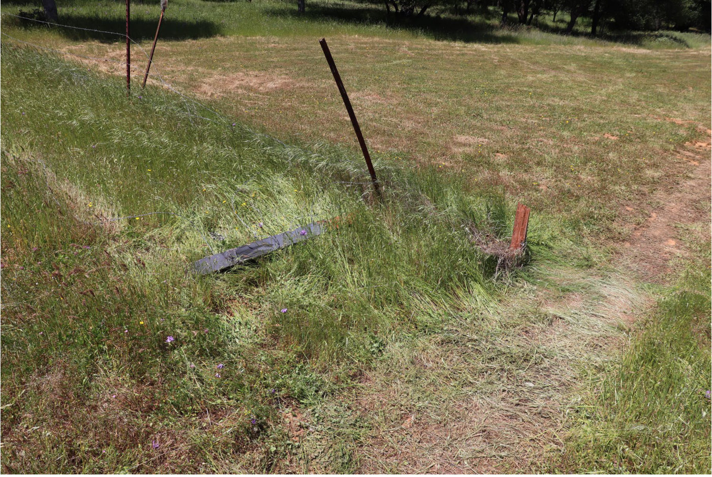 Photograph <built-in method index of str object at 0x7fdee1e71700>, from the NTSB investigation of Champion 7ECA accident near Cottonwood, California, April 29, 2025