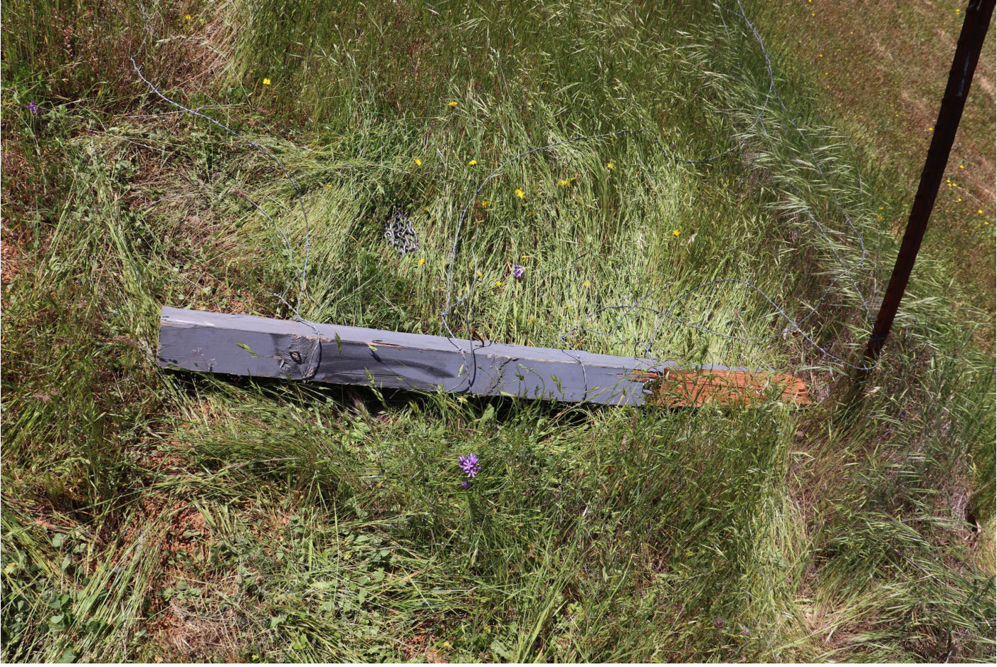 Photograph <built-in method index of str object at 0x7fdef902abf0>, from the NTSB investigation of Champion 7ECA accident near Cottonwood, California, April 29, 2025