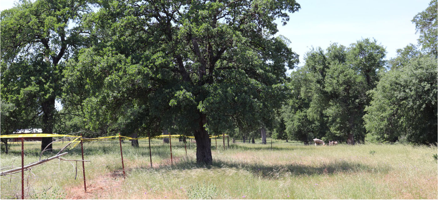 Photograph <built-in method index of str object at 0x7fdee1e54990>, from the NTSB investigation of Champion 7ECA accident near Cottonwood, California, April 29, 2025
