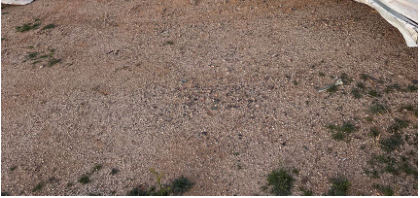 Photograph 2 – Right Side of Airplane, from the NTSB investigation of Cessna 150A accident near Coolidge, Arizona, January 5, 2026