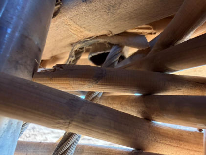 Photograph 3 – Fractured wood basket structure, from the NTSB investigation of Lindstrand 260A accident near Casa Grande, Arizona, March 2, 2026