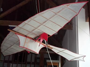 Replica of Machine Used for The First Powered Flight (1848)