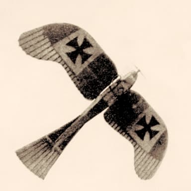 Rumpler Taube Bomber, Surveillance, and Trainer (1910)