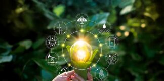 hand_holds_lightbulb_swathed_in_leaves_surrounded_by_symbols_of_renewable_energy_sustainable_development_solar_wind_hydro_water_by_ipopba