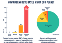 THE TYPES OF GREENHOUSE GASES